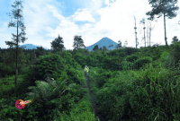 Jurang Jero Bike Park
