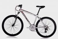 sepeda united Avalanche XC 77