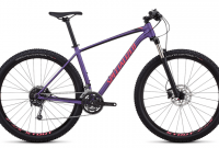 sepeda specialized rockhopper expert