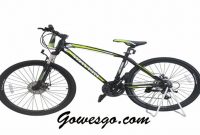 Sepeda VivaCycle Zenox 660