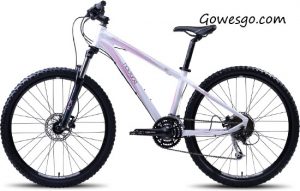 Review, Spesifikasi Dan Harga Sepeda Polygon Cleo 3